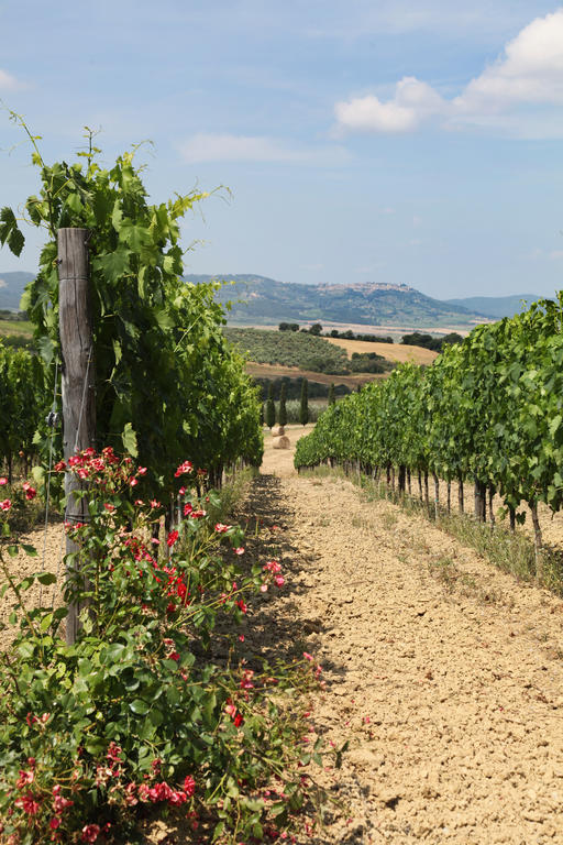 Agriturismo Bagnaia San Quirico dʼOrcia Exterior foto