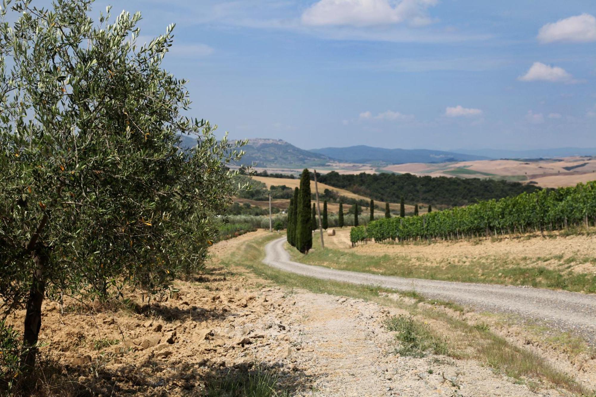 Agriturismo Bagnaia San Quirico dʼOrcia Exterior foto
