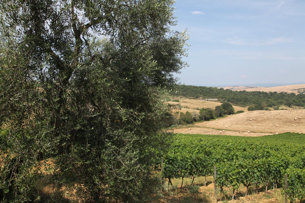 Agriturismo Bagnaia San Quirico dʼOrcia Exterior foto